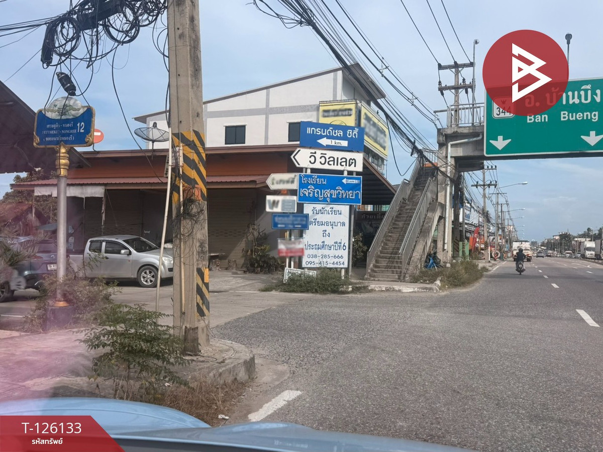 ขายที่ดิน เนื้อที่ 10 ไร่ 2 งาน 95 ตร.วา หนองรี ชลบุรี