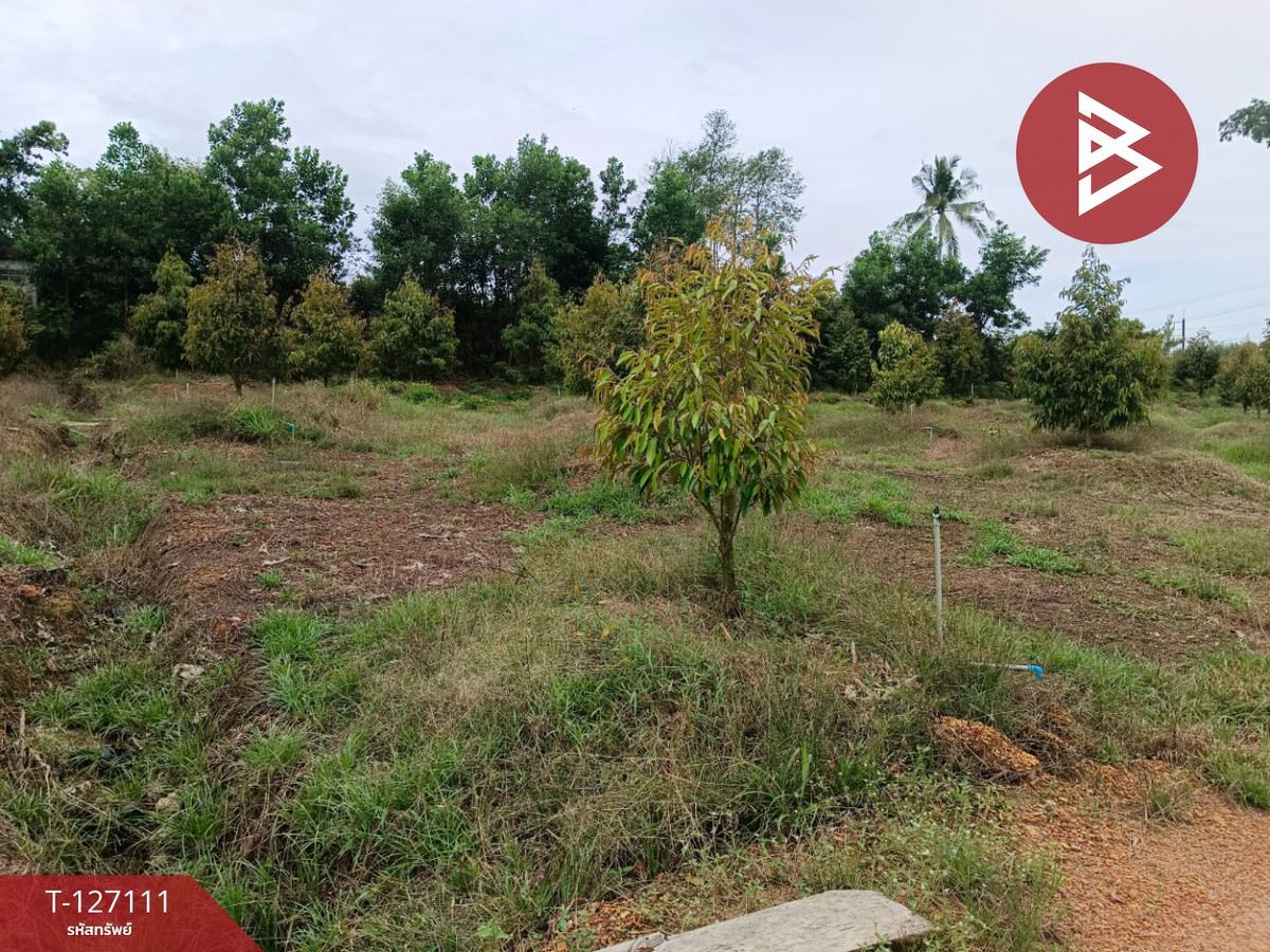 ขายที่ดิน ถ.สุขุมวิท เนื้อที่ 8 ไร่ 16.1 ตร.วา ตะกาง ตราด