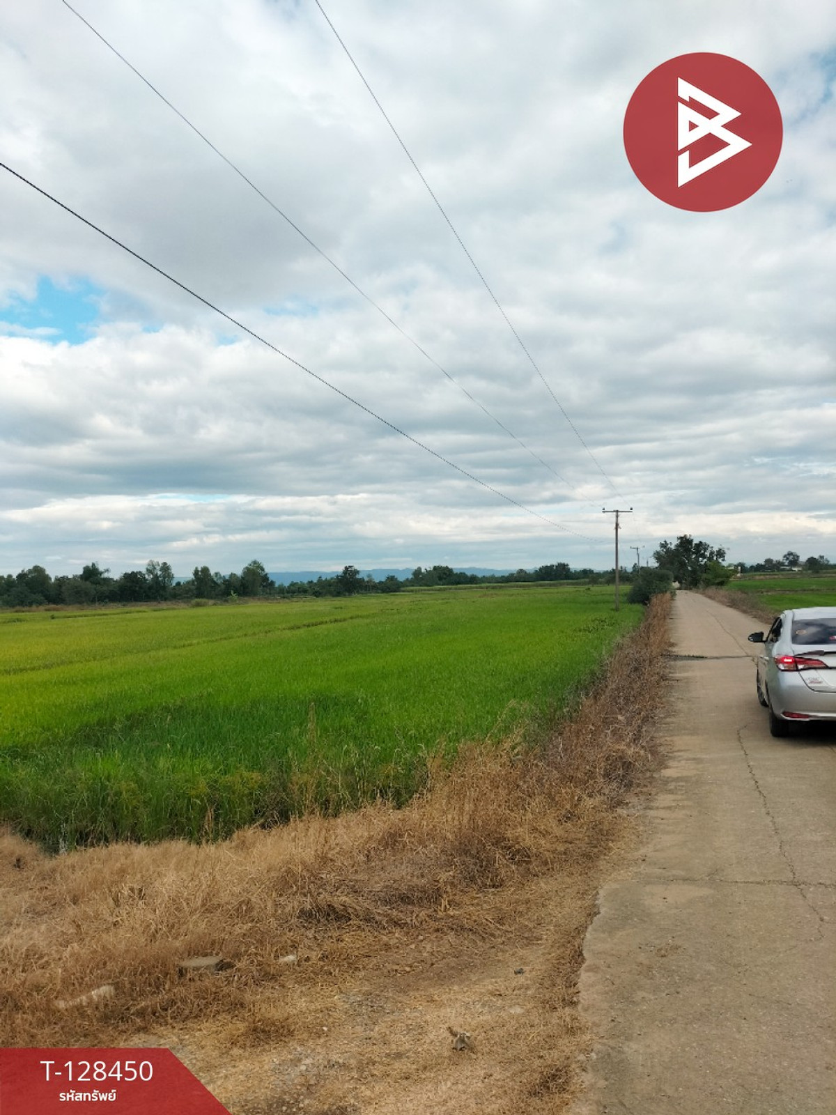 ขายที่ดิน เนื้อที่ 21 ไร่ 2 ตร.วา บึงสามพัน เพชรบูรณ์