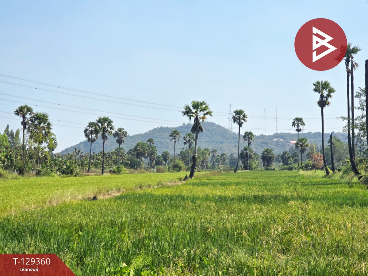 ขายที่ดิน เนื้อที่ 5 ไร่ 20 ตร.วา ไร่ส้ม เพชรบุรี