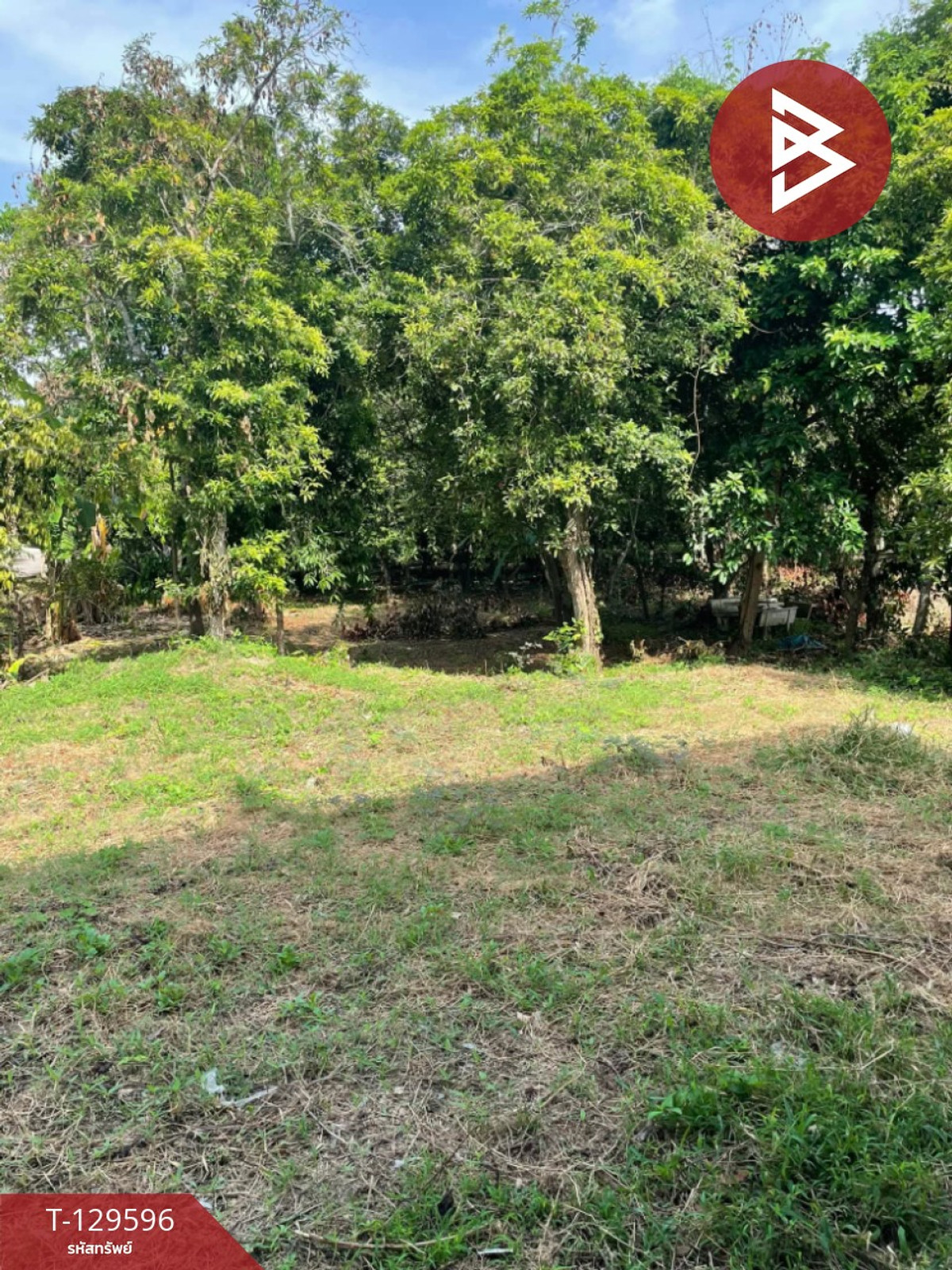 ขายที่ดินบ้าน 3 งาน 56 ตร.วา ทำเลใกล้แม่น้ำเพชรบุรี บรรยากาศบ้านสวน ใกล้แหล่งท่องเที่ยว