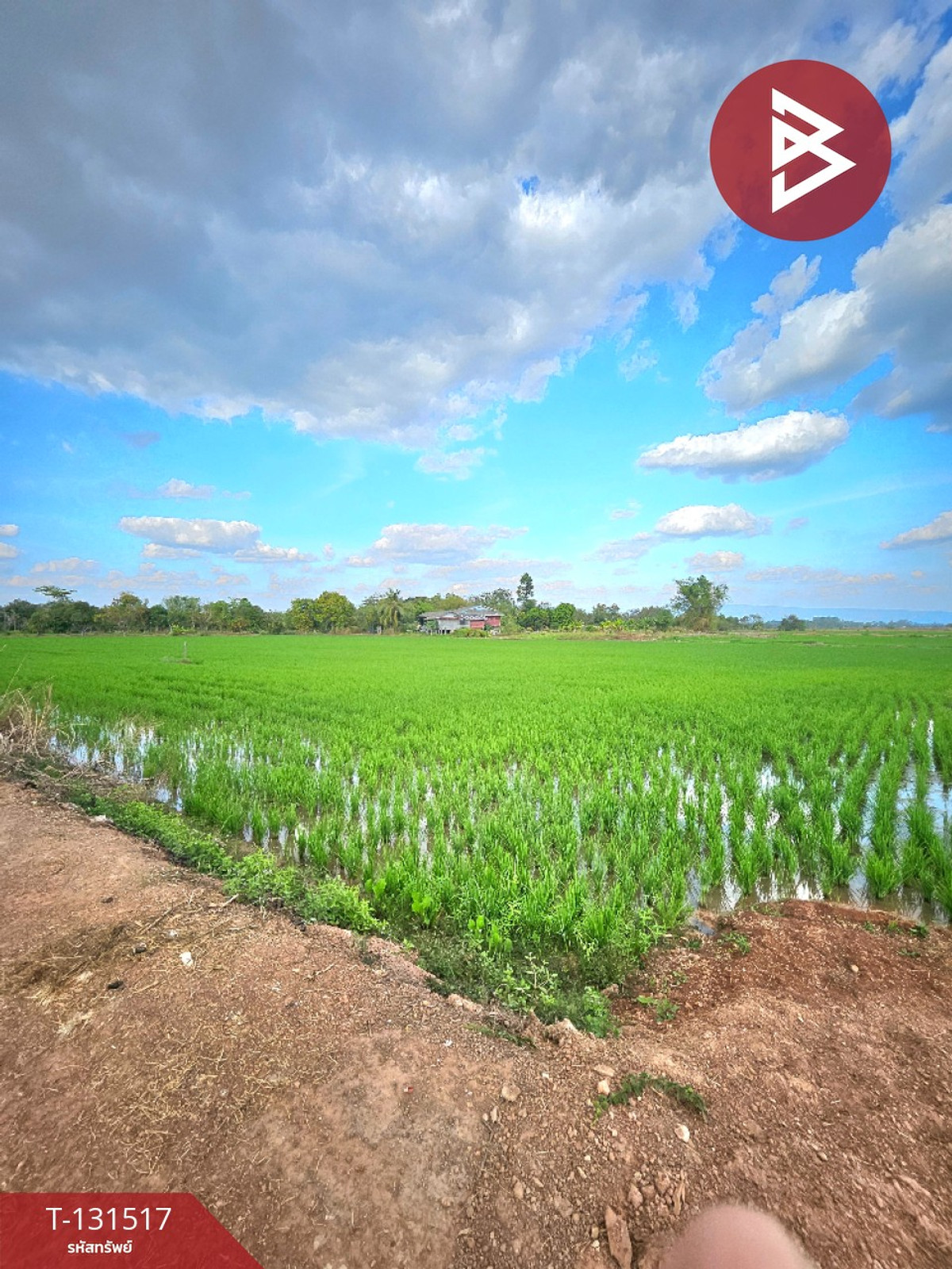 ขายที่ดิน เนื้อที่ 2 ไร่ 90 ตร.วา ปากพลี นครนายก