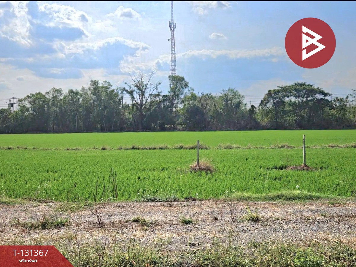 ขายที่ดิน เนื้อที่ 6 ไร่ 3 งาน 0.2 ตร.วา ปากพลี นครนายก