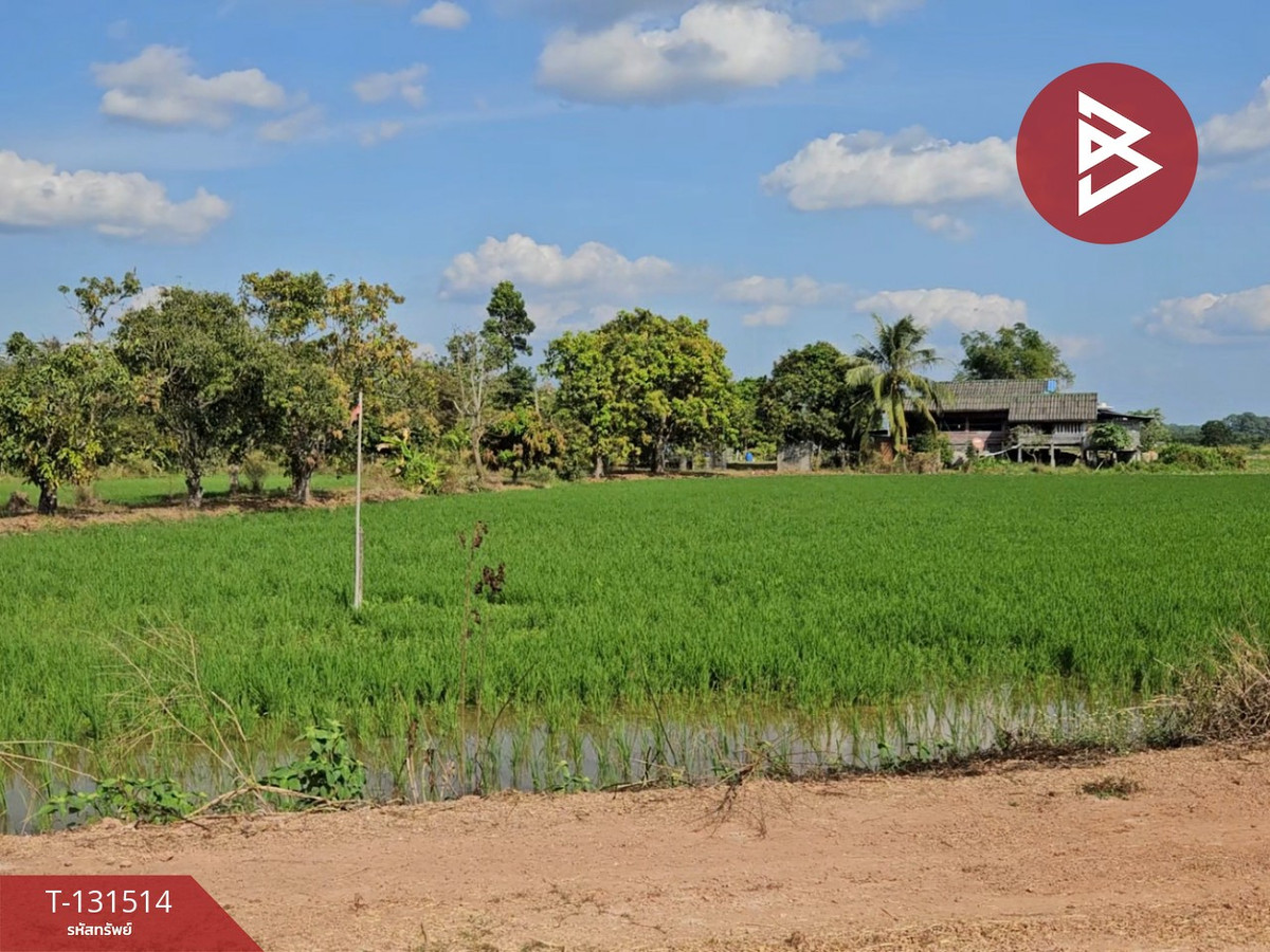 ขายที่ดิน เนื้อที่ 6 ไร่ 90 ตร.วา ปากพลี นครนายก