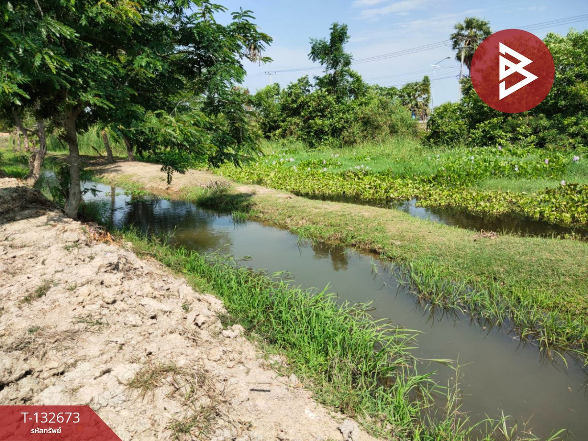 ขายที่ดิน เนื้อที่ 2 ไร่ หนองขนาน เพชรบุรี ที่ดินผืนใหญ่