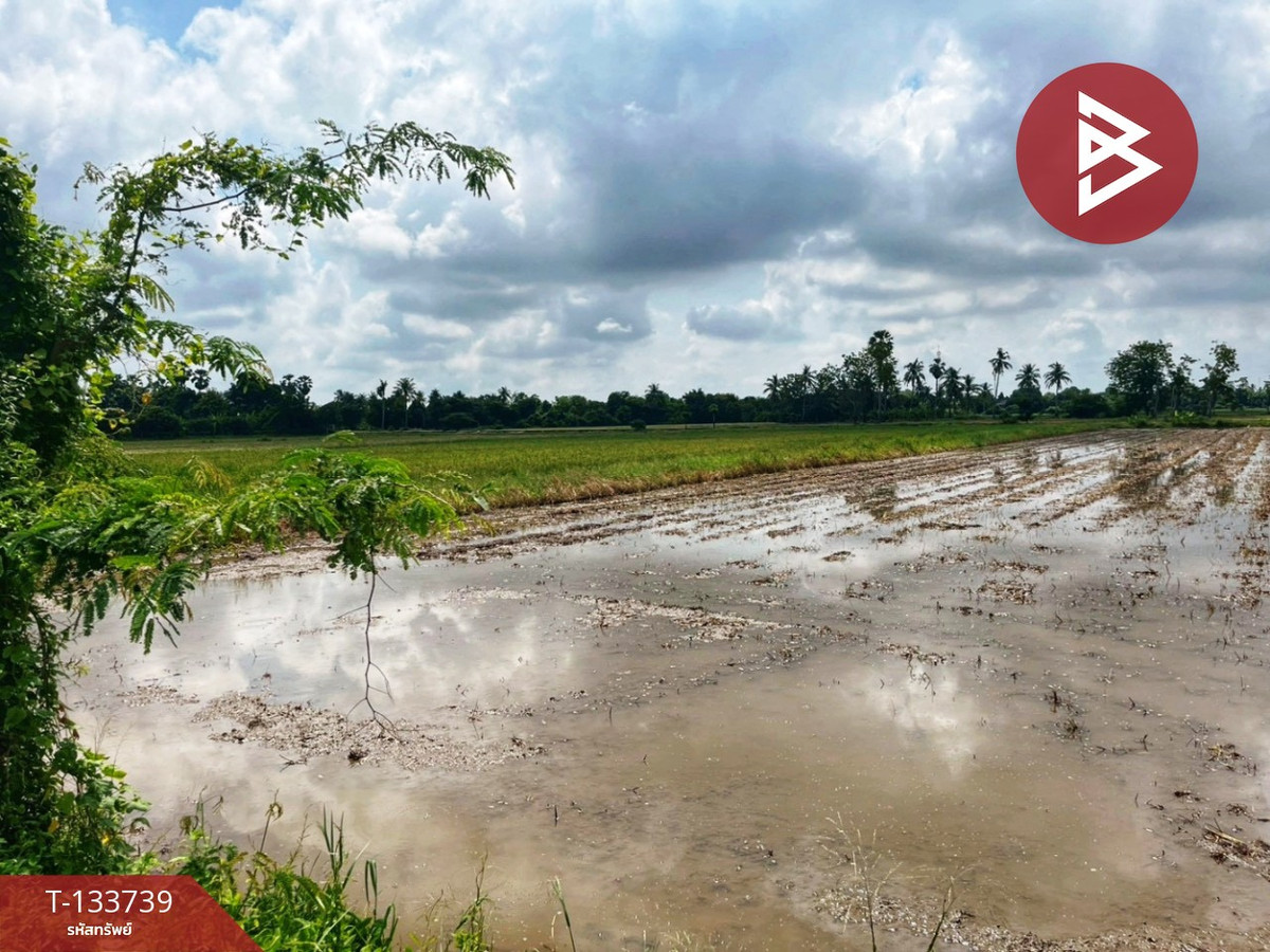 ขายที่ดิน เนื้อที่ 3 ไร่ 1 งาน 5.9 ตร.วา สรรพยา ชัยนาท