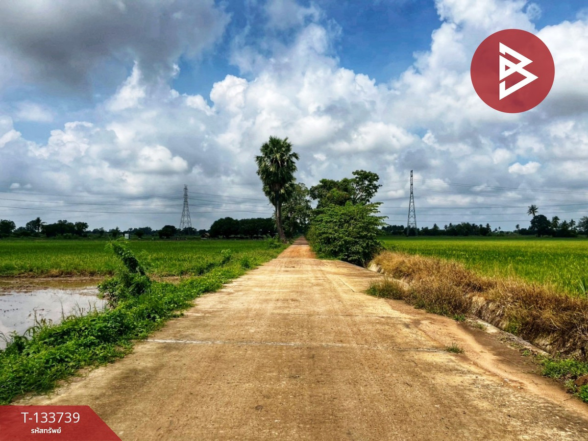 ขายที่ดิน เนื้อที่ 3 ไร่ 1 งาน 5.9 ตร.วา สรรพยา ชัยนาท