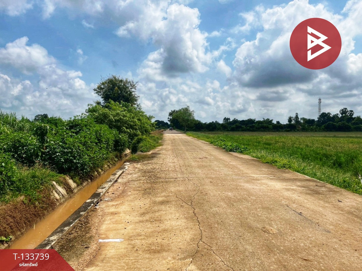 ขายที่ดิน เนื้อที่ 3 ไร่ 1 งาน 5.9 ตร.วา สรรพยา ชัยนาท