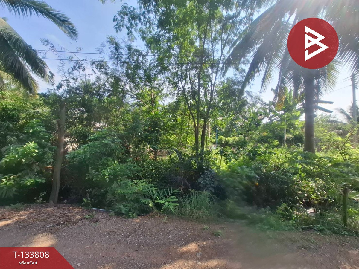 ขายที่ดิน เนื้อที่ 201.8 ตารางวา คลองเขิน สมุทรสงคราม ติดถนนสาธารณะ