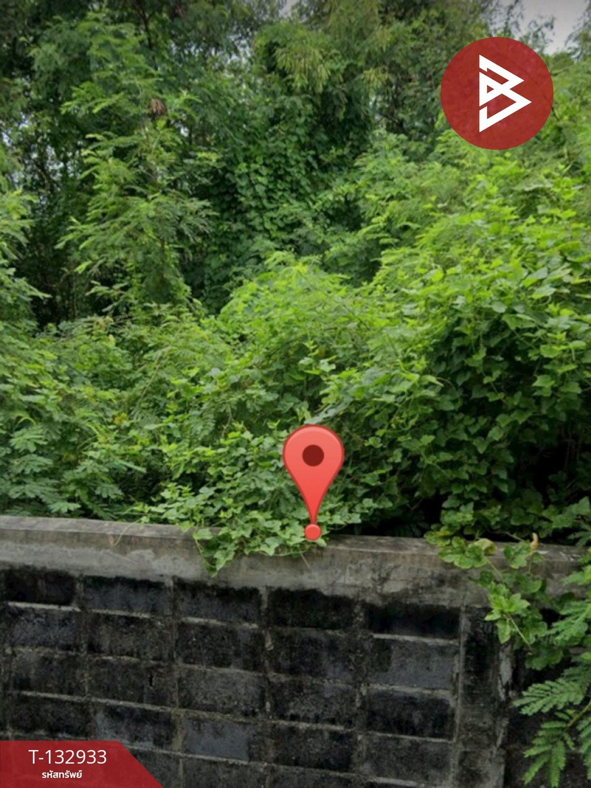 ขายที่ดินเปล่า เนื้อที่ 1 งาน 31 ตร.วา บางบ่อ สมุทรปราการ