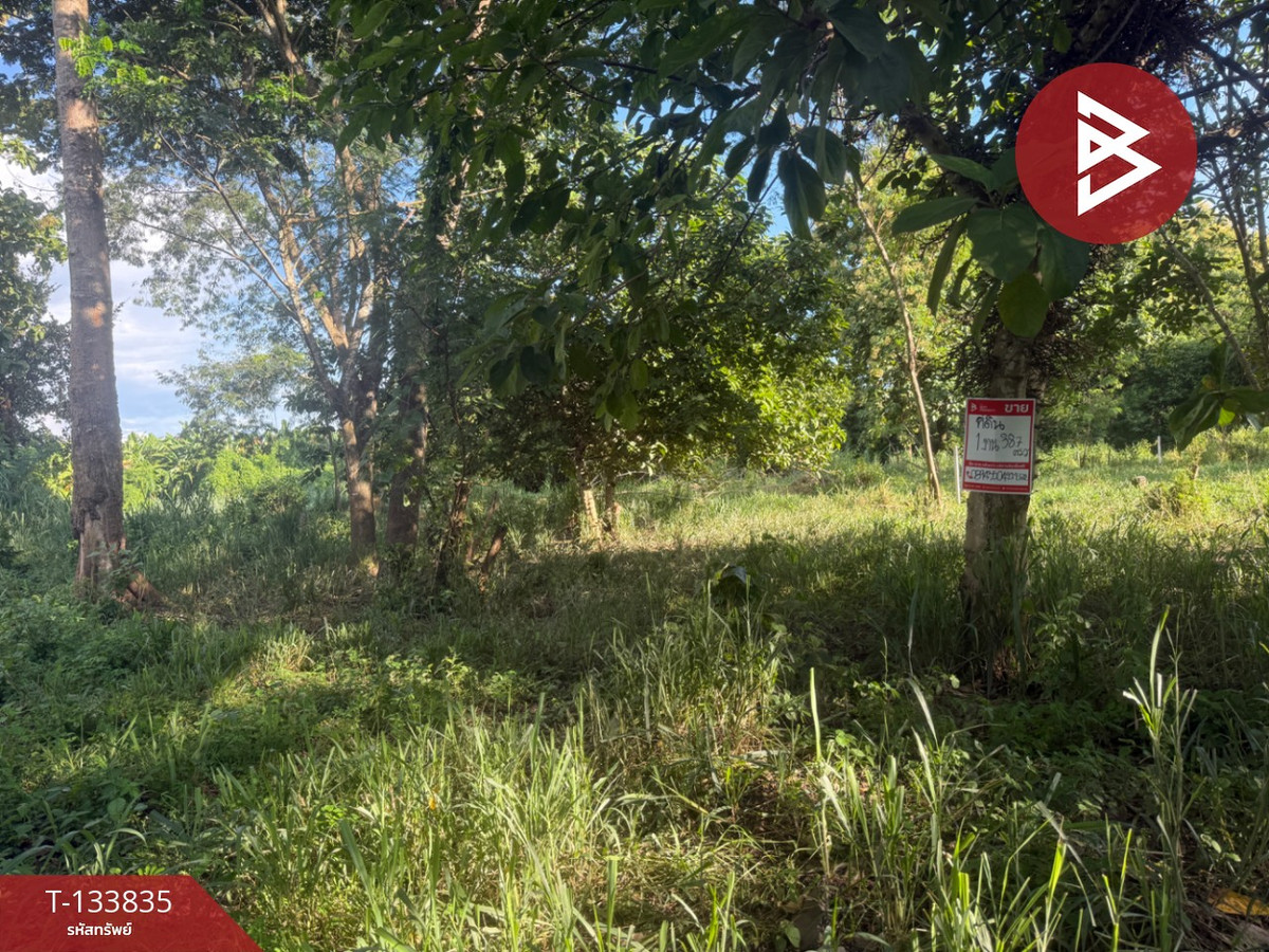 ขายที่ดิน เนื้อที่ 1 งาน 38.7 ตารางวา หนองแหย่ง สันทราย เชียงใหม่