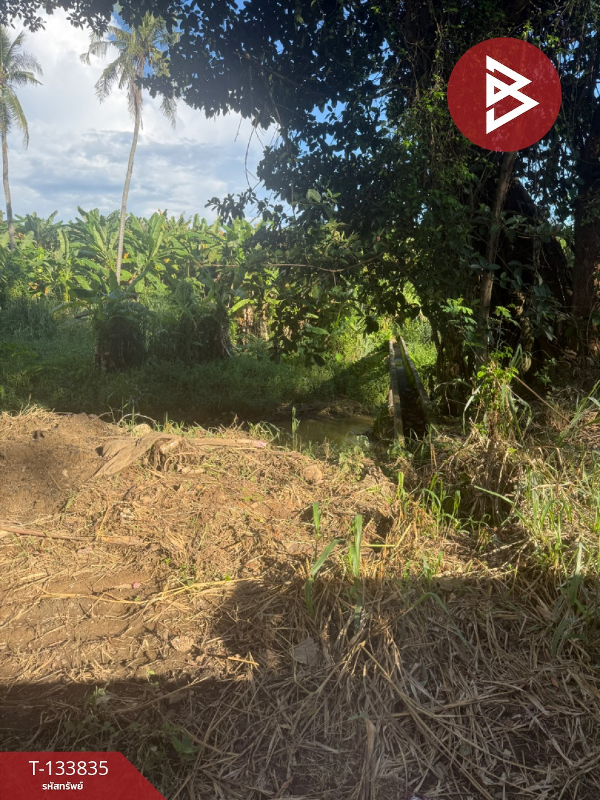 ขายที่ดิน เนื้อที่ 1 งาน 38.7 ตารางวา หนองแหย่ง สันทราย เชียงใหม่