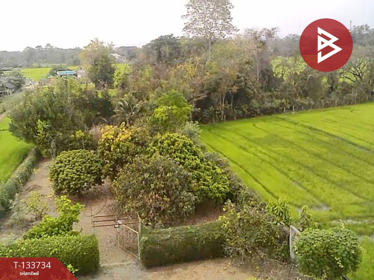 ขายบ้านเดี่ยวพร้อมที่ดิน เนื้อที่ 1 ไร่ 2 งาน 52 ตร.วา สันกำแพง เชียงใหม่