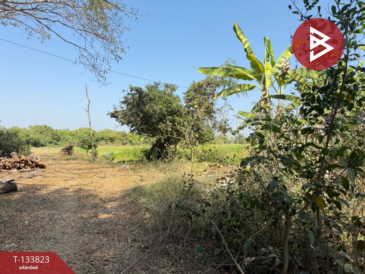 ขายที่ดิน เนื้อที่ 1 งาน 82 ตร.วา สันกำแพง เชียงใหม่