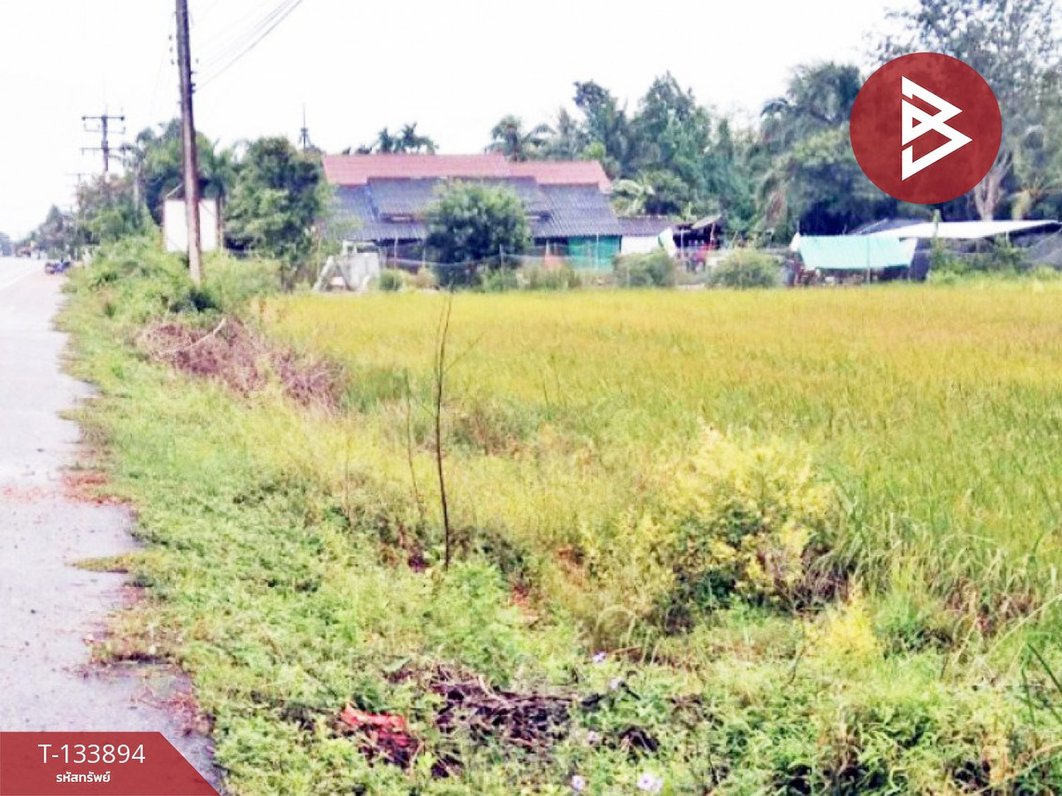 ขายที่ดิน เนื้อที่ 3 ไร่ 3 งาน 6 ตร.วา ระโนด สงขลา