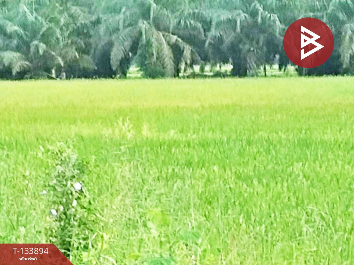 ขายที่ดิน เนื้อที่ 3 ไร่ 3 งาน 6 ตร.วา ระโนด สงขลา