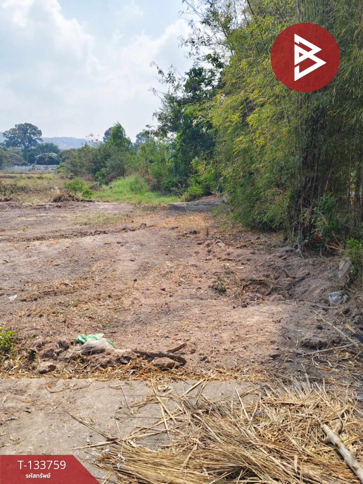 ขายที่ดิน เนื้อที่ 2 ไร่ 3 งาน หนองปลาไหล สระบุรี