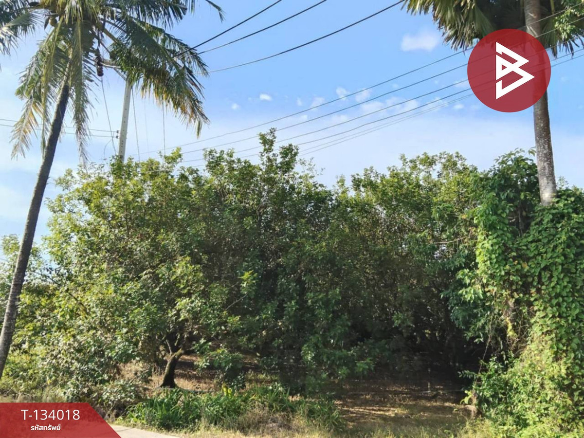 ขายที่ดินสวนเงาะ เนื้อที่ 5 ไร่ 3 งาน 41 ตารางวา อ.ชะอวด นครศรีธรรมราช ติดถนนสาธารณะประโยชน์