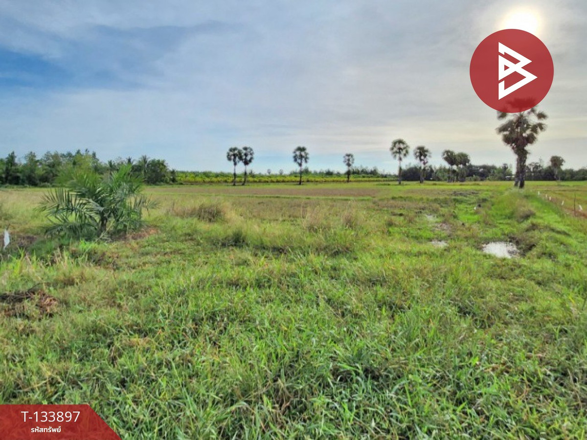 ขายที่ดิน เนื้อที่ 7 ไร่ 88 ตารางวา อำเภอระโนด สงขลา