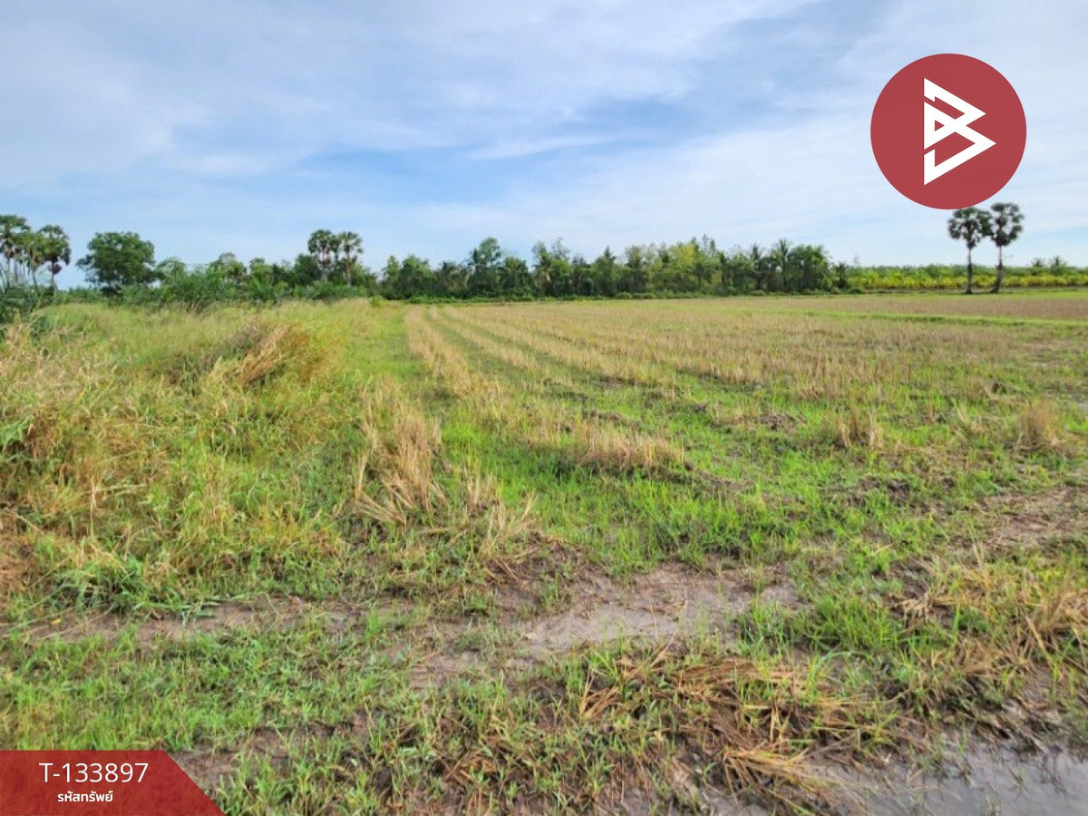 ขายที่ดิน เนื้อที่ 7 ไร่ 88 ตารางวา อำเภอระโนด สงขลา