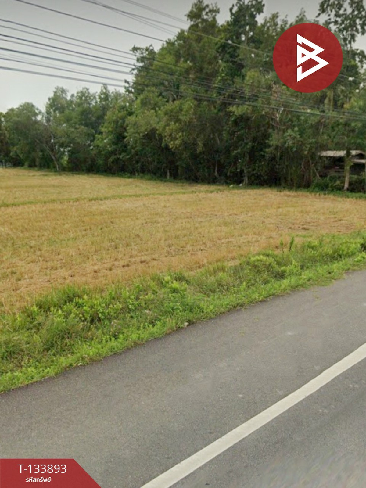 ขายที่ดิน เนื้อที่ 1 ไร่ 3 งาน 54 ตร.วา ระโนด สงขลา