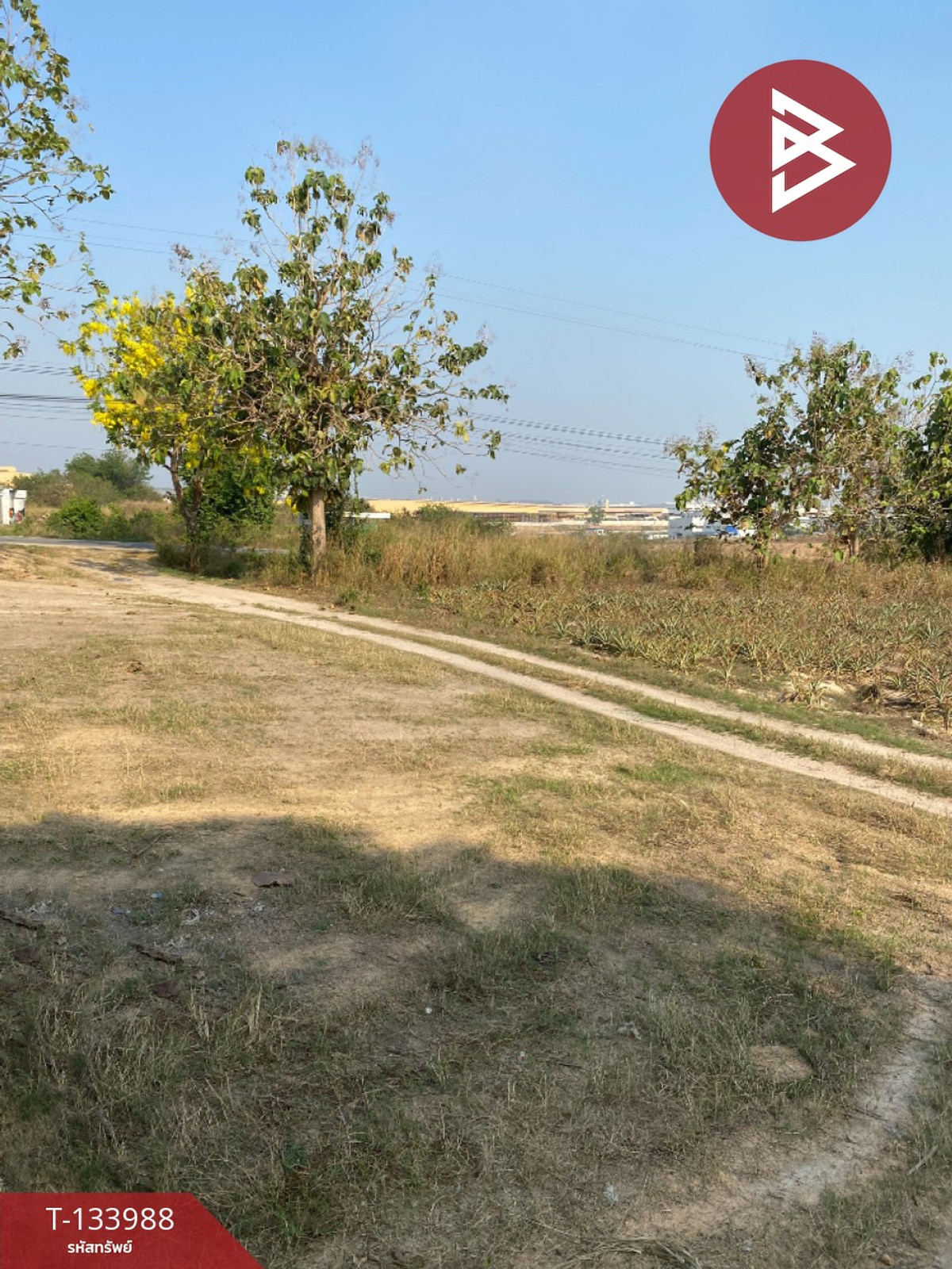 ขายที่ดิน เนื้อที่ 7 ไร่ นิคมพัฒนา ระยอง