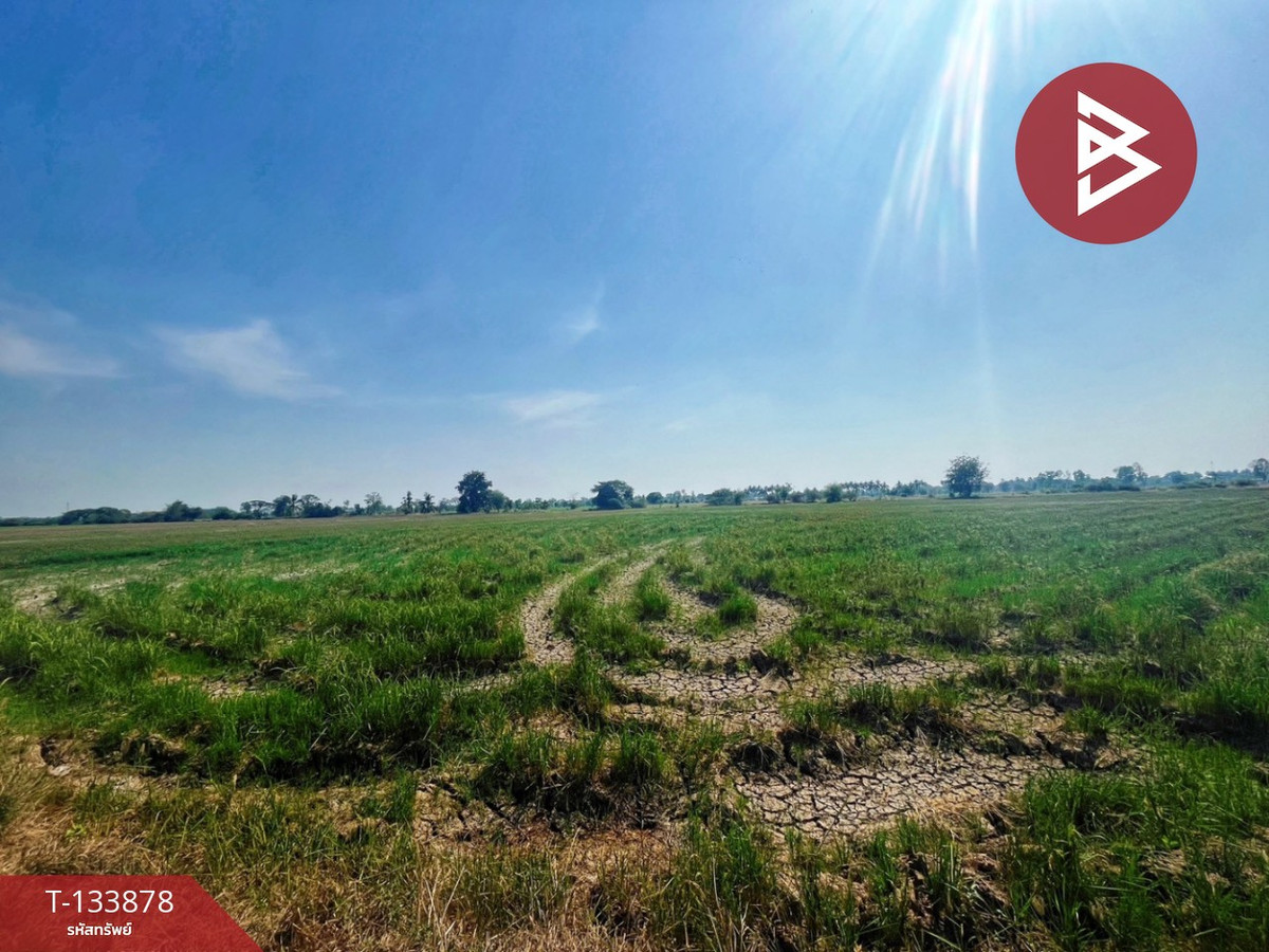 ขายที่ดิน เนื้อที่ 8 ไร่ 2 งาน 62 ตร.วา สรรพยา ชัยนาท