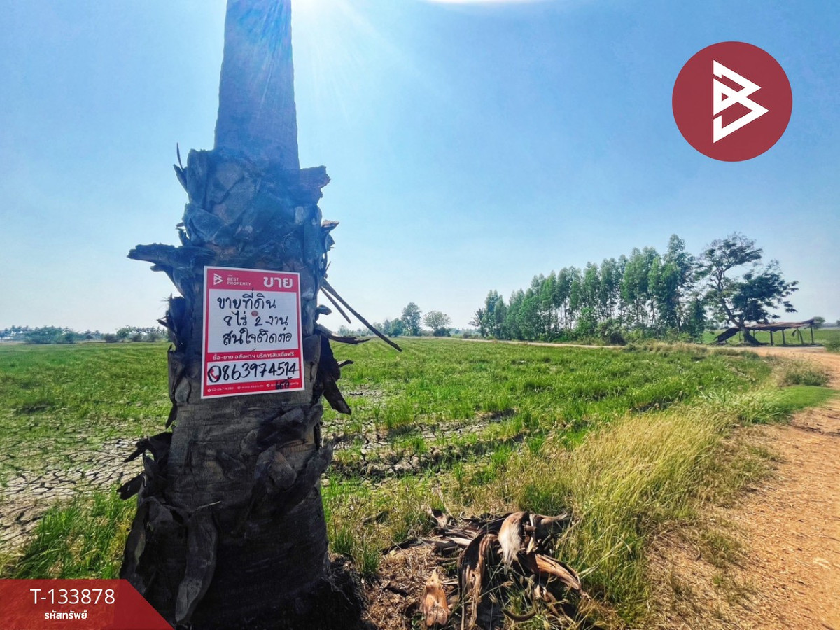 ขายที่ดิน เนื้อที่ 8 ไร่ 2 งาน 62 ตร.วา สรรพยา ชัยนาท