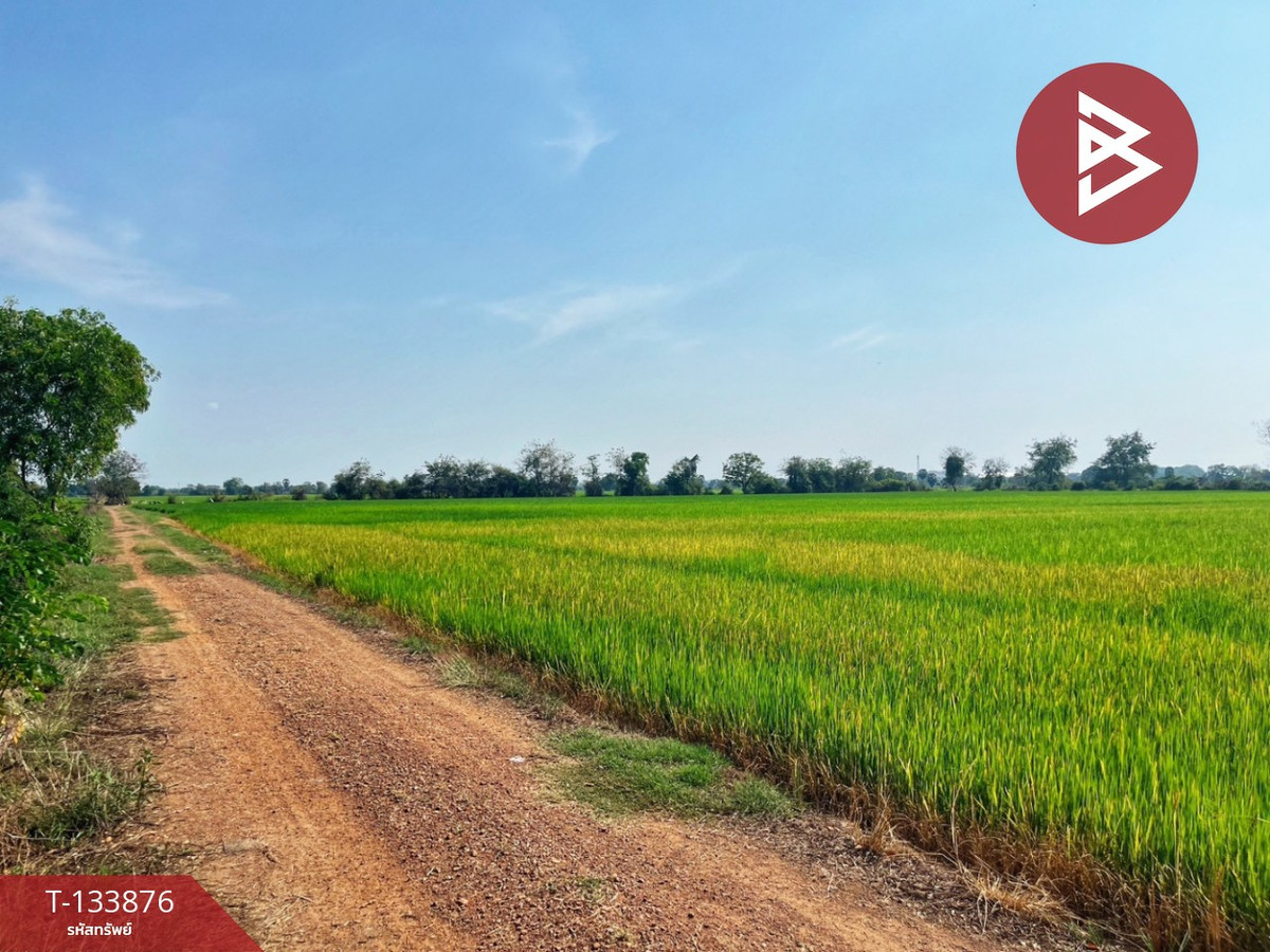 ขายที่ดิน เนื้อที่ 6 ไร่ สรรพยา ชัยนาท