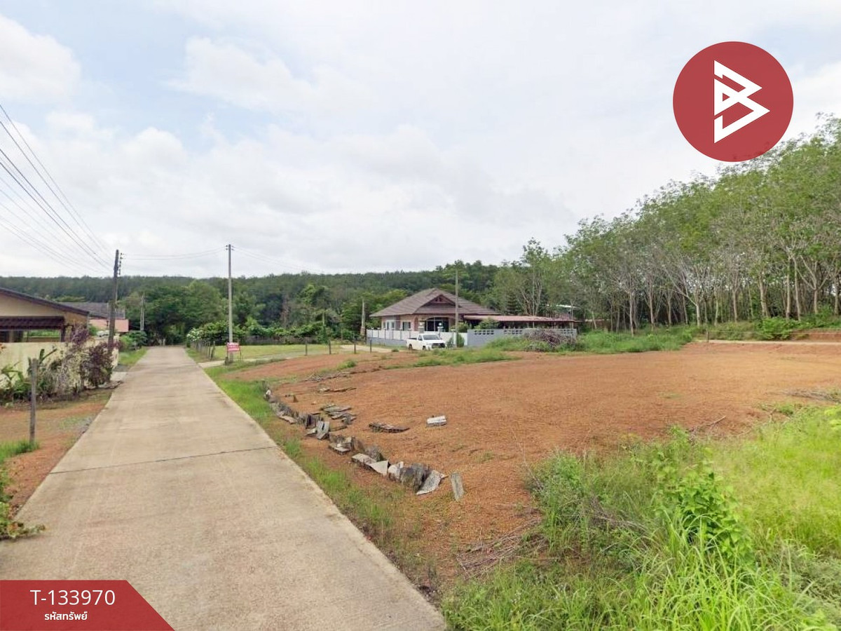 ขายที่ดิน เนื้อที่ 1 งาน 3 ตร.วา วังกระแจะ ตราด