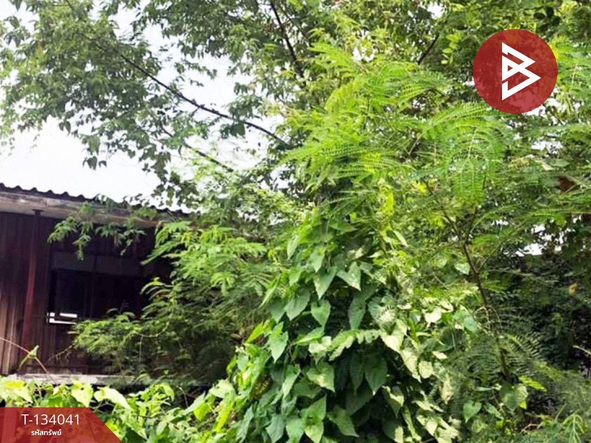 ขายที่ดินเปล่า เนื้อที่ 59 ตร.วา ปากเกร็ด นนทบุรี