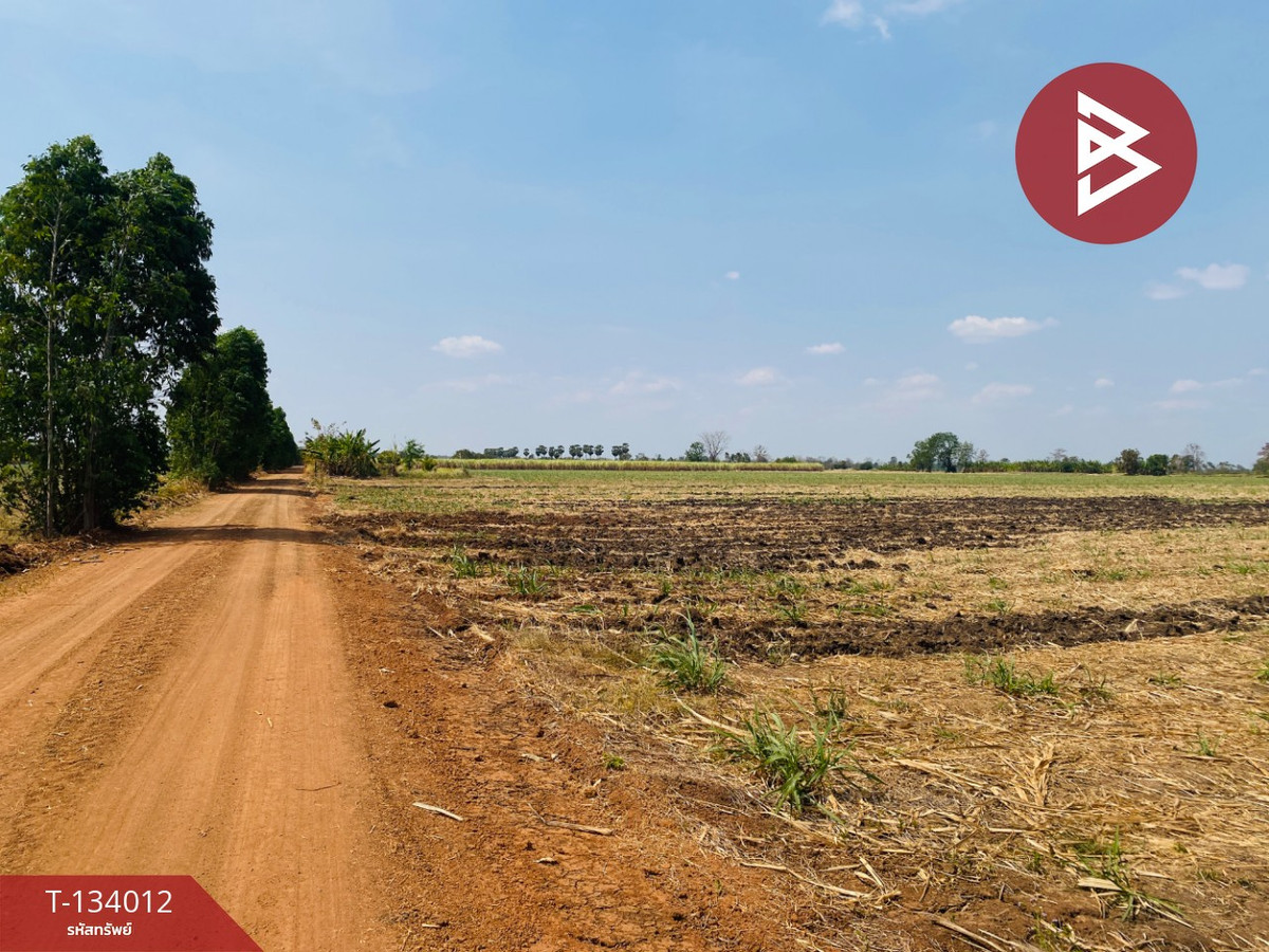 ขายที่ดินสวย เนื้อที่ 20 ไร่ 3 งาน 66 ตารางวา หนองบุญมาก นครราชสีมา ใกล้ถนน 24