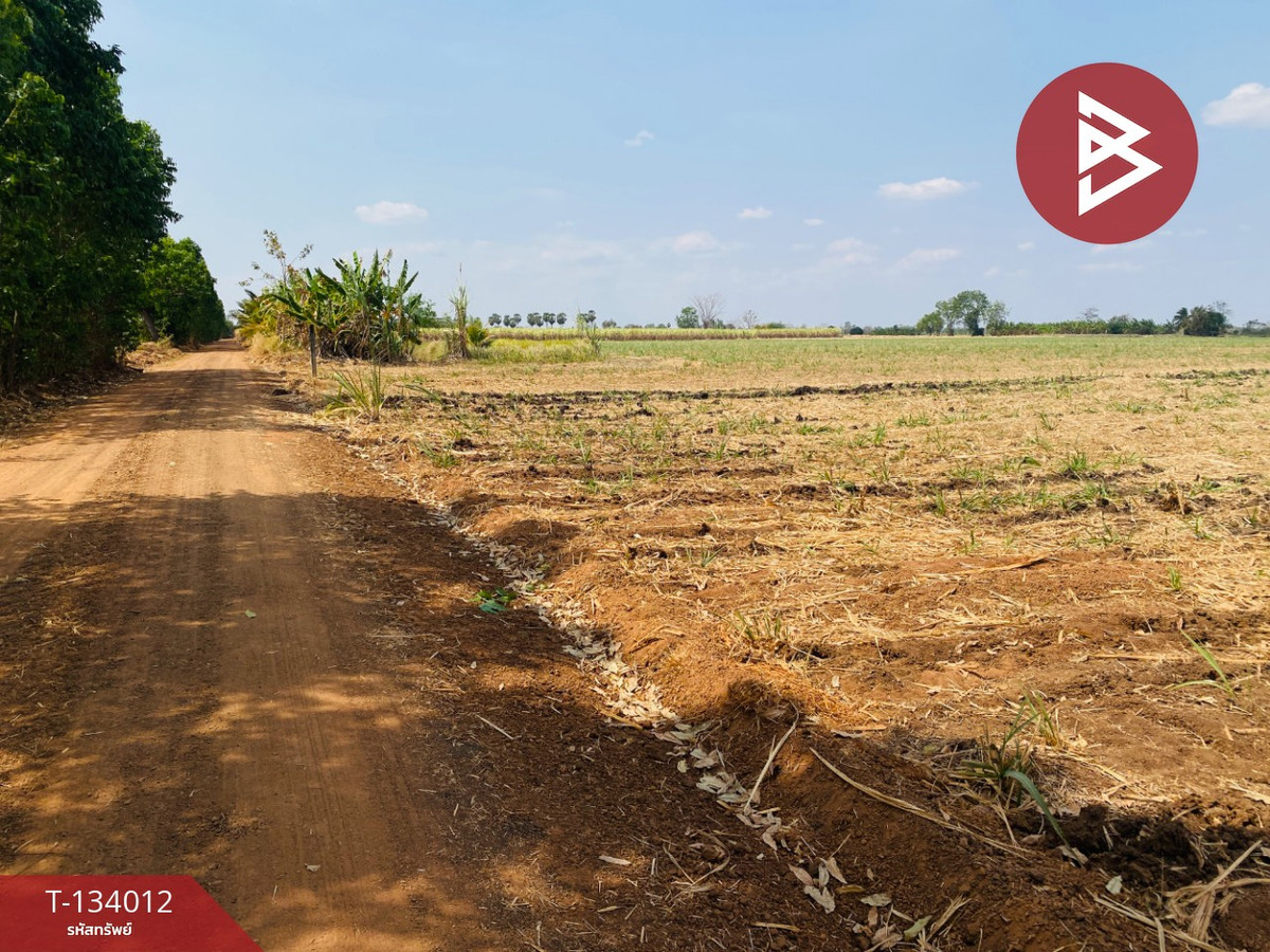 ขายที่ดินสวย เนื้อที่ 20 ไร่ 3 งาน 66 ตารางวา หนองบุญมาก นครราชสีมา ใกล้ถนน 24