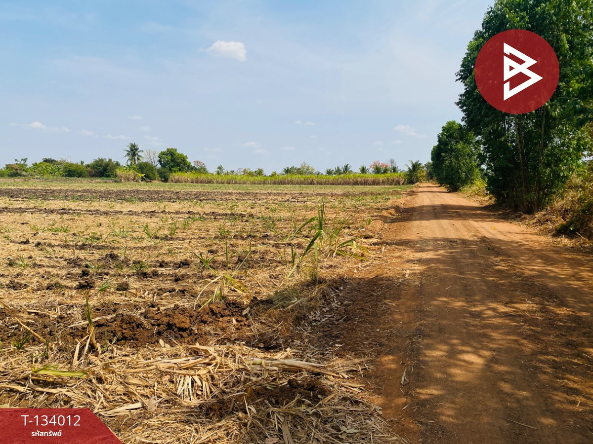 ขายที่ดินสวย เนื้อที่ 20 ไร่ 3 งาน 66 ตารางวา หนองบุญมาก นครราชสีมา ใกล้ถนน 24