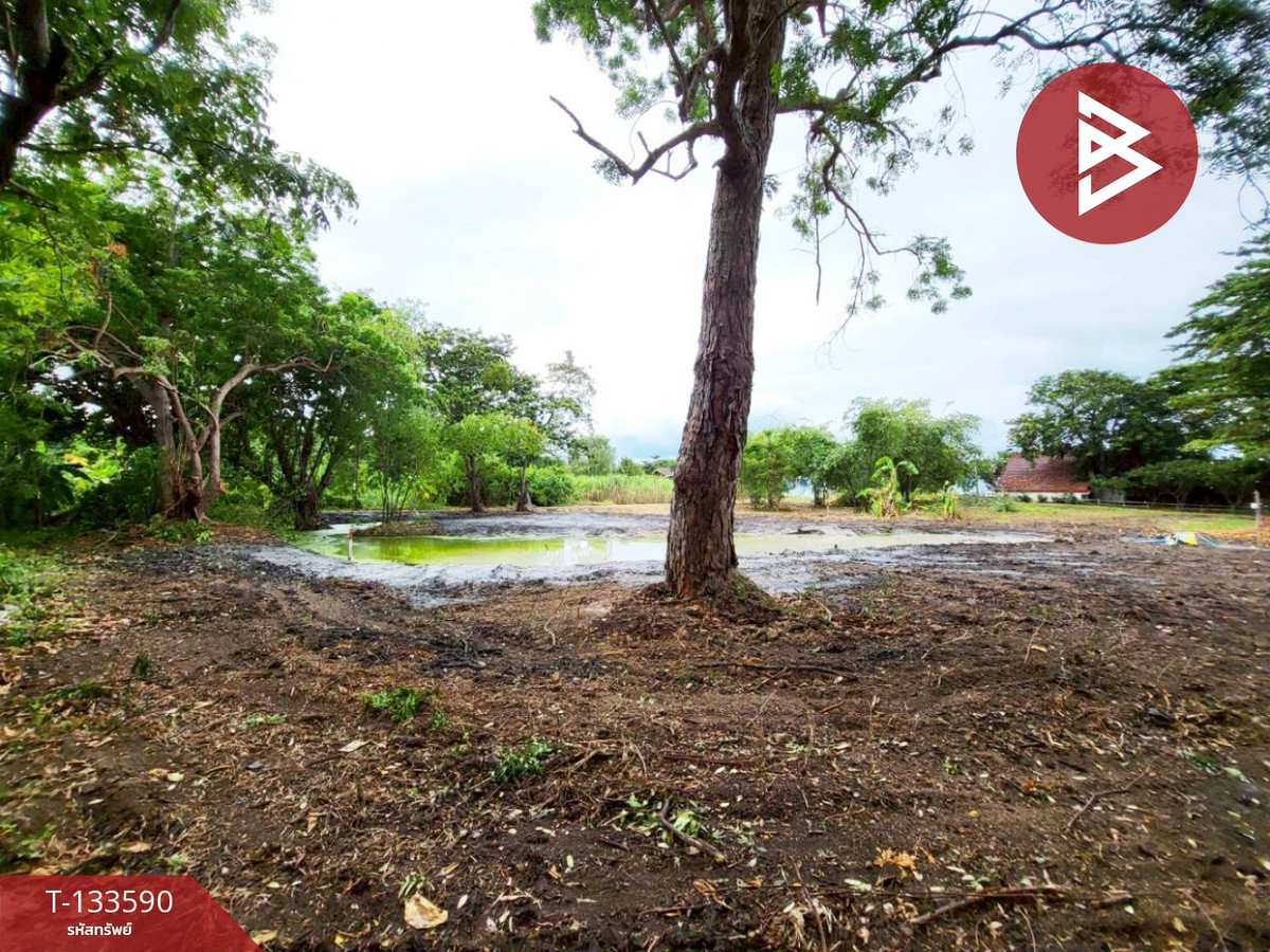 ขายที่ดิน เนื้อที่ 1 ไร่ 51.9 ตารางวา บ้านฉาง ระยอง ติดหาดน้ำริน