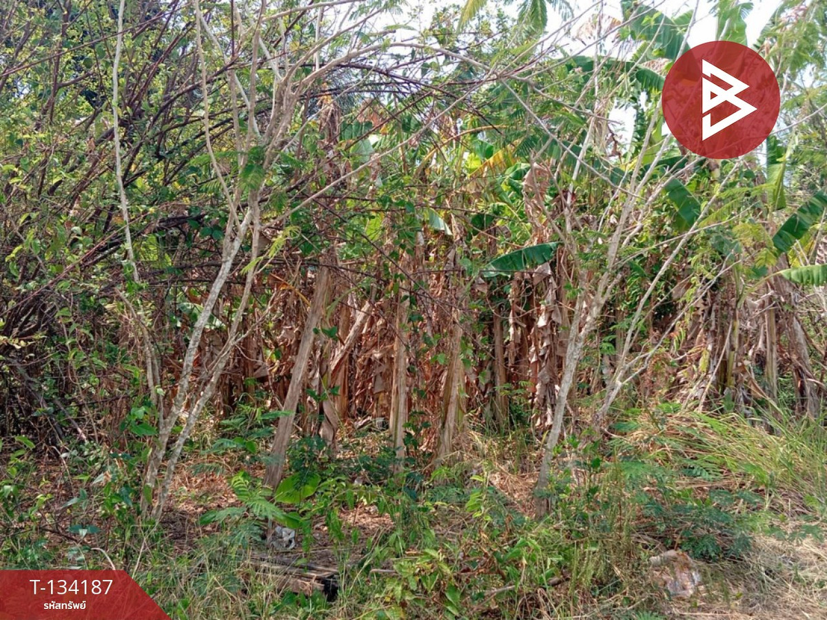 ขายที่ดิน เนื้อที่ 2 งาน 84 ตร.วา แหลมสิงห์ จันทบุรี