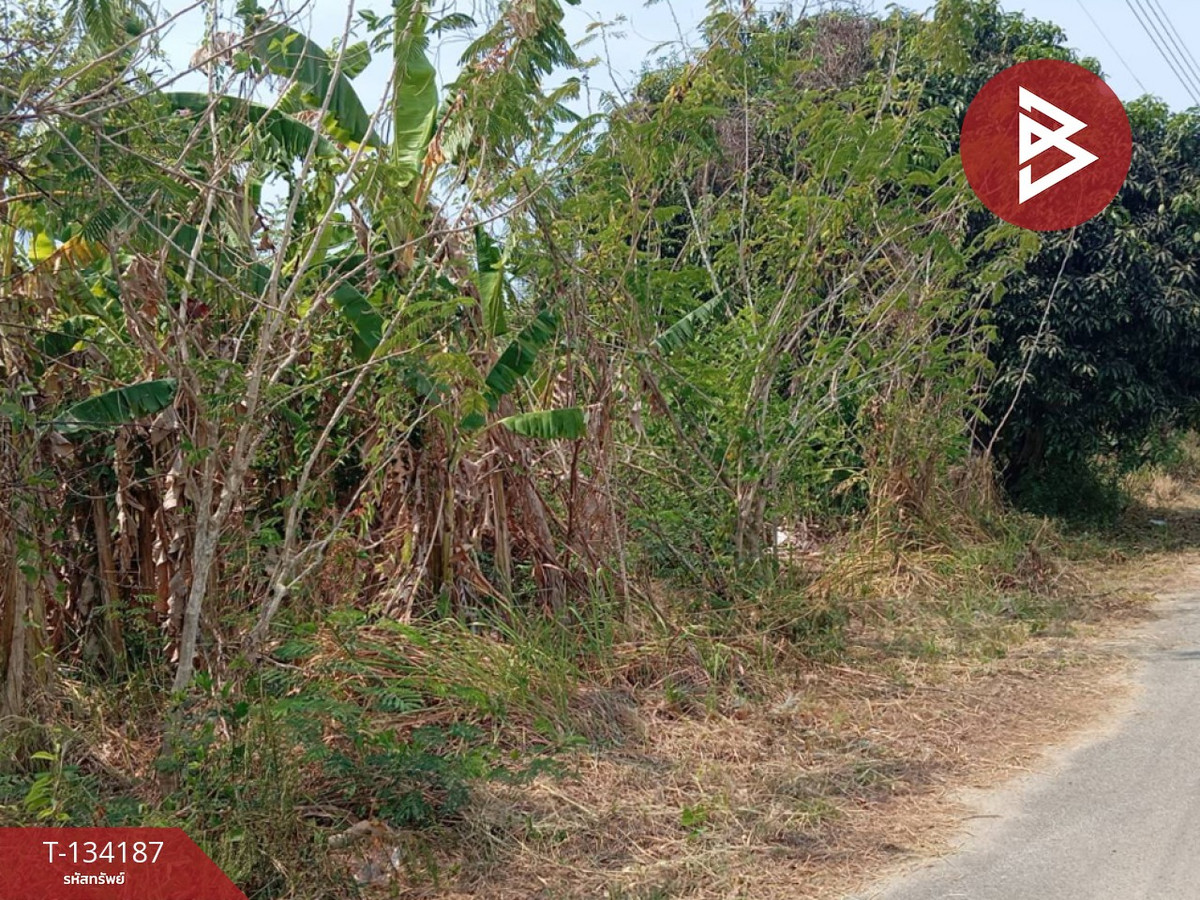 ขายที่ดิน เนื้อที่ 2 งาน 84 ตร.วา แหลมสิงห์ จันทบุรี