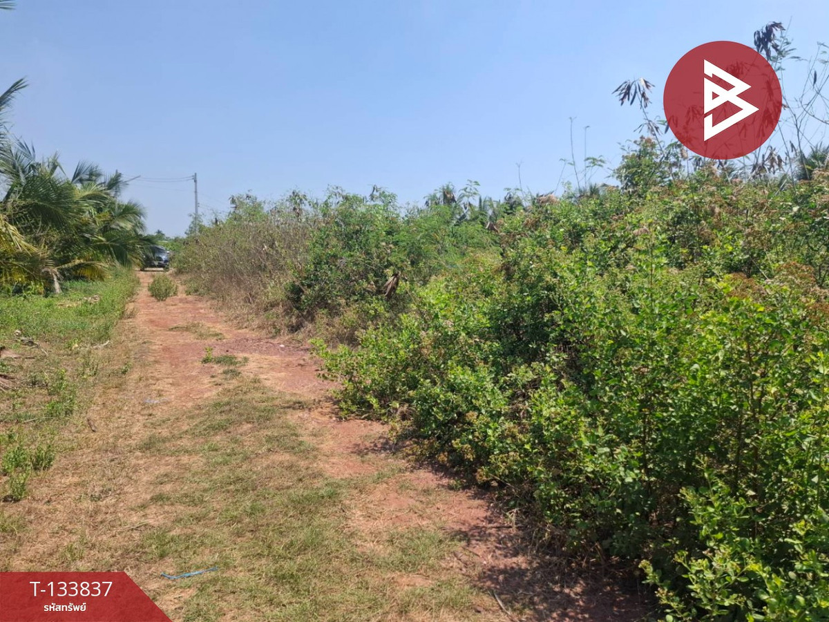 ขายที่ดิน เนื้อที่ 1 งาน 20 ตร.วา คูบัว ราชบุรี