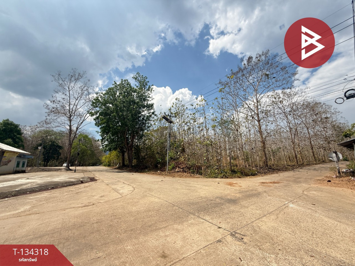 ขายที่ดินสวนป่าสัก เนื้อที่ 20 ไร่ 3 งาน 64 ตารางวา หินดาด ทองผาภูมิ กาญจนบุรี