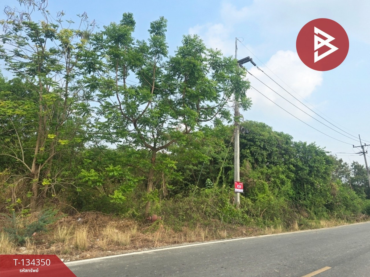 ขายที่ดิน เนื้อที่ 3 งาน 41 ตร.วา แปลงยาว ฉะเชิงเทรา