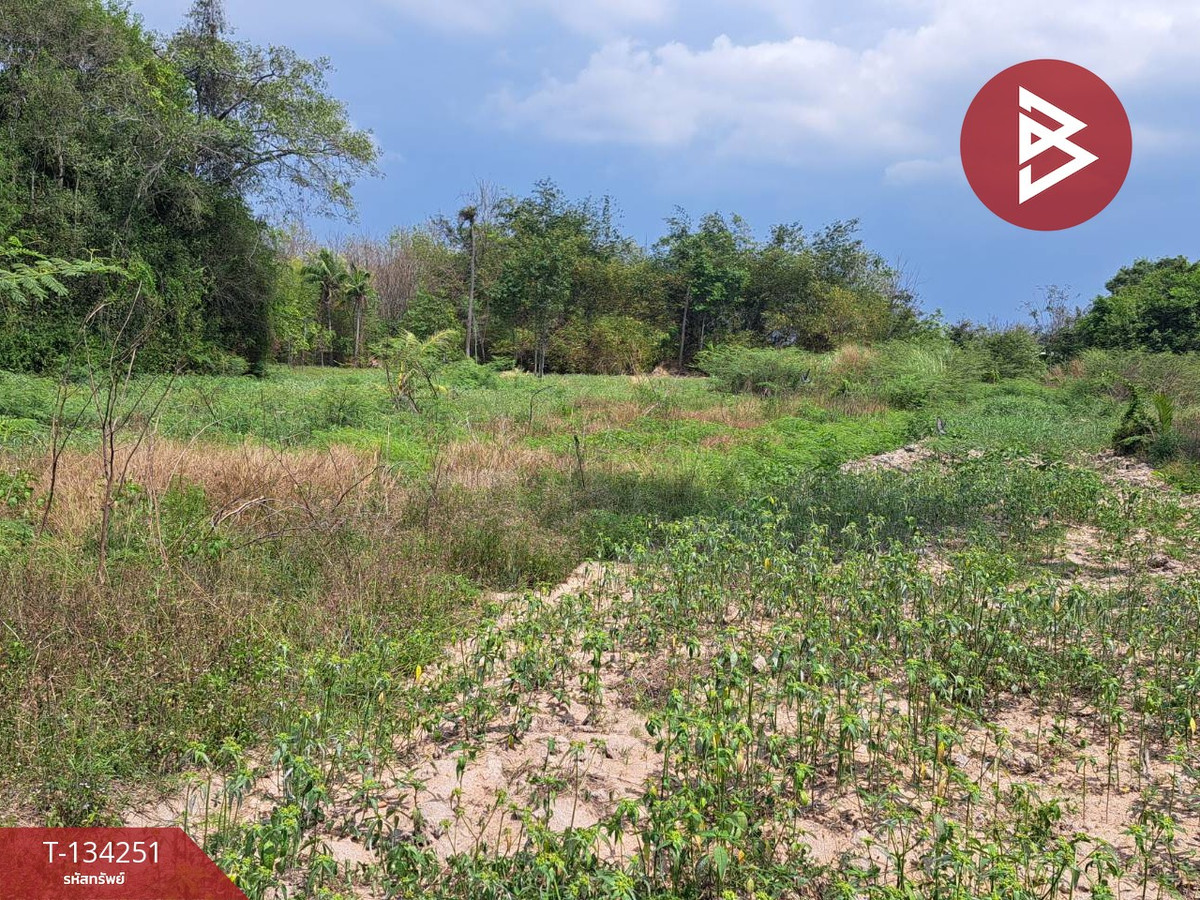 ขายที่ดิน เนื้อที่ 4 ไร่ 2 งาน 26 ตร.วา บางละมุง ชลบุรี