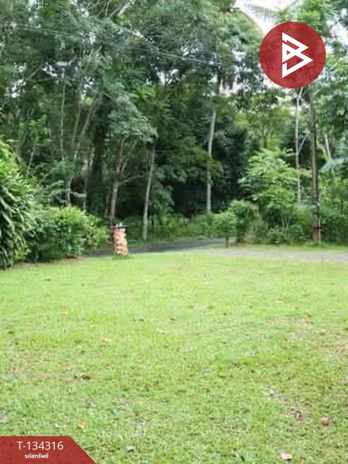 ขายบ้านเดี่ยวพร้อมที่ดิน เนื้อที่ 1 ไร่ 3 งาน 4.2 ตารางวา ทุ่งสง นครศรีธรรมราช