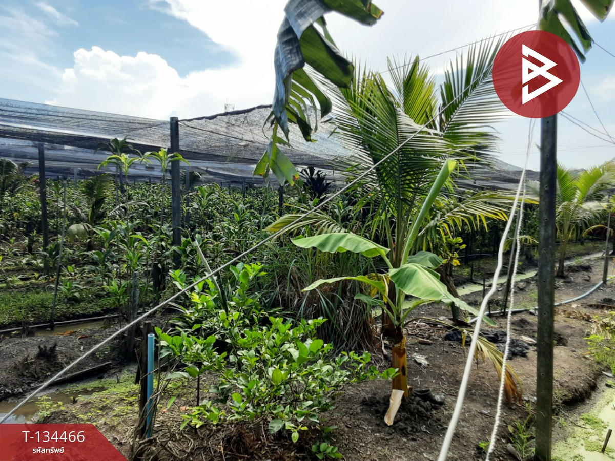 ขายที่ดิน เนื้อที่ 5 ไร่ 1 งาน 5 ตร.วา บางแค กรุงเทพมหานคร