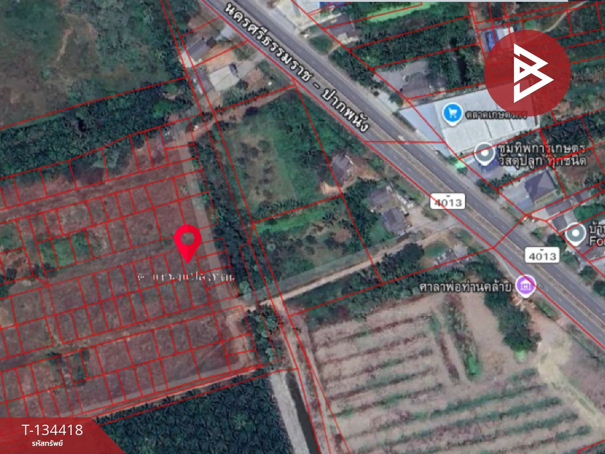 ขายที่ดิน เนื้อที่ 50 ตร.วา ท่าไร่ นครศรีธรรมราช