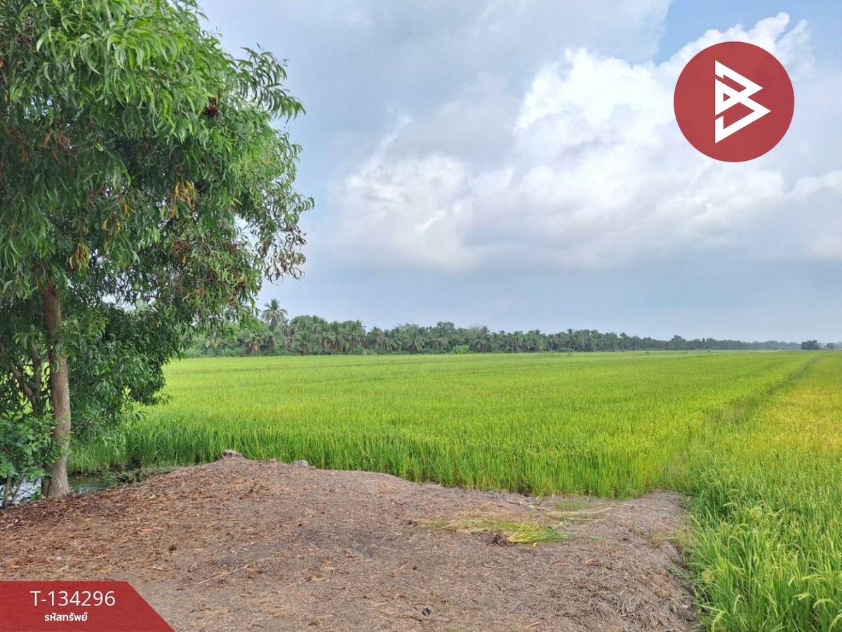 ขายที่ดิน เนื้อที่ 8 ไร่ 2 งาน 7 ตารางวา ลำลูกกา ปทุมธานี