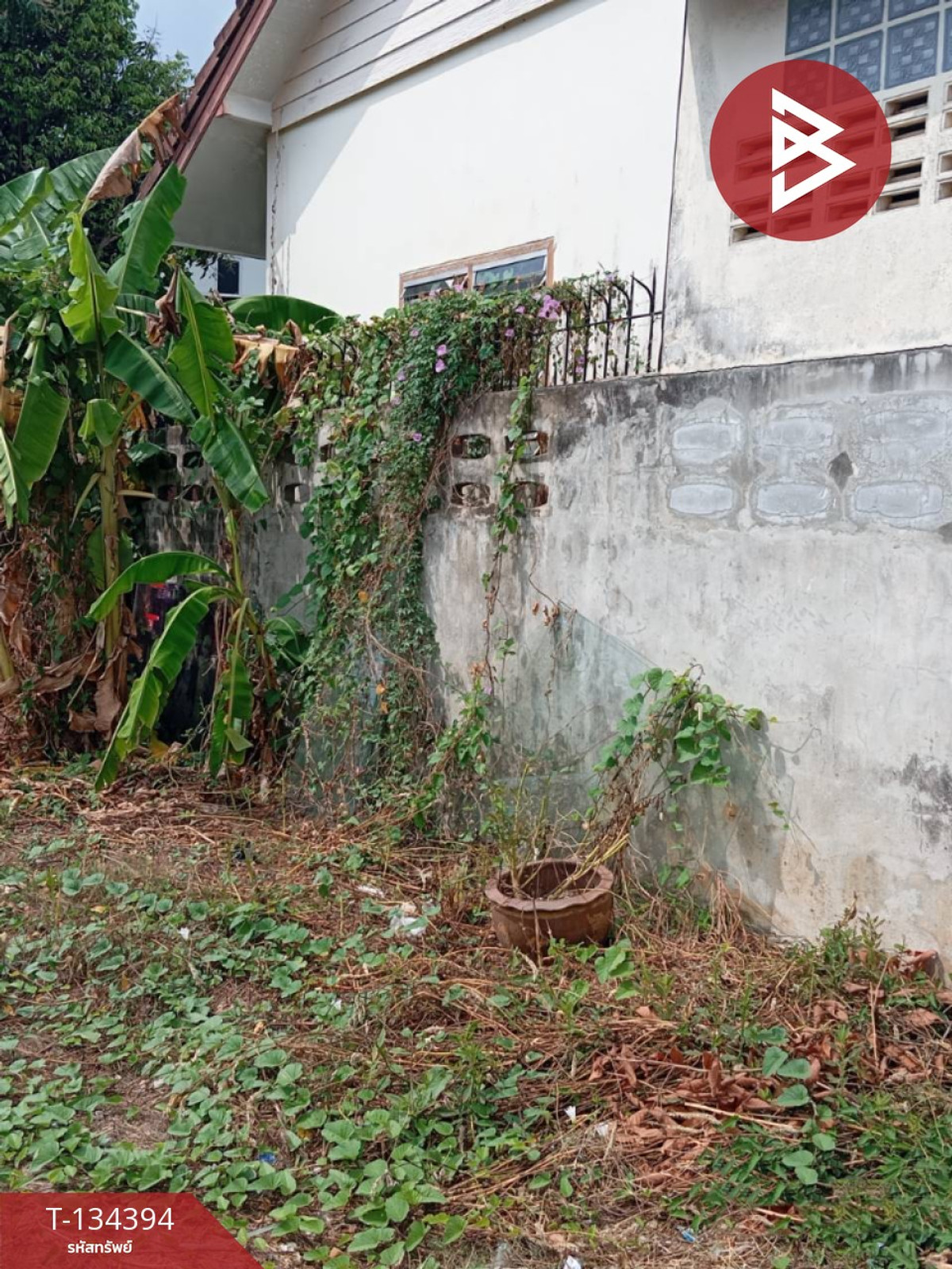 ขายที่ดิน เนื้อที่ 2 งาน 79 ตร.วา ท่าช้าง จันทบุรี