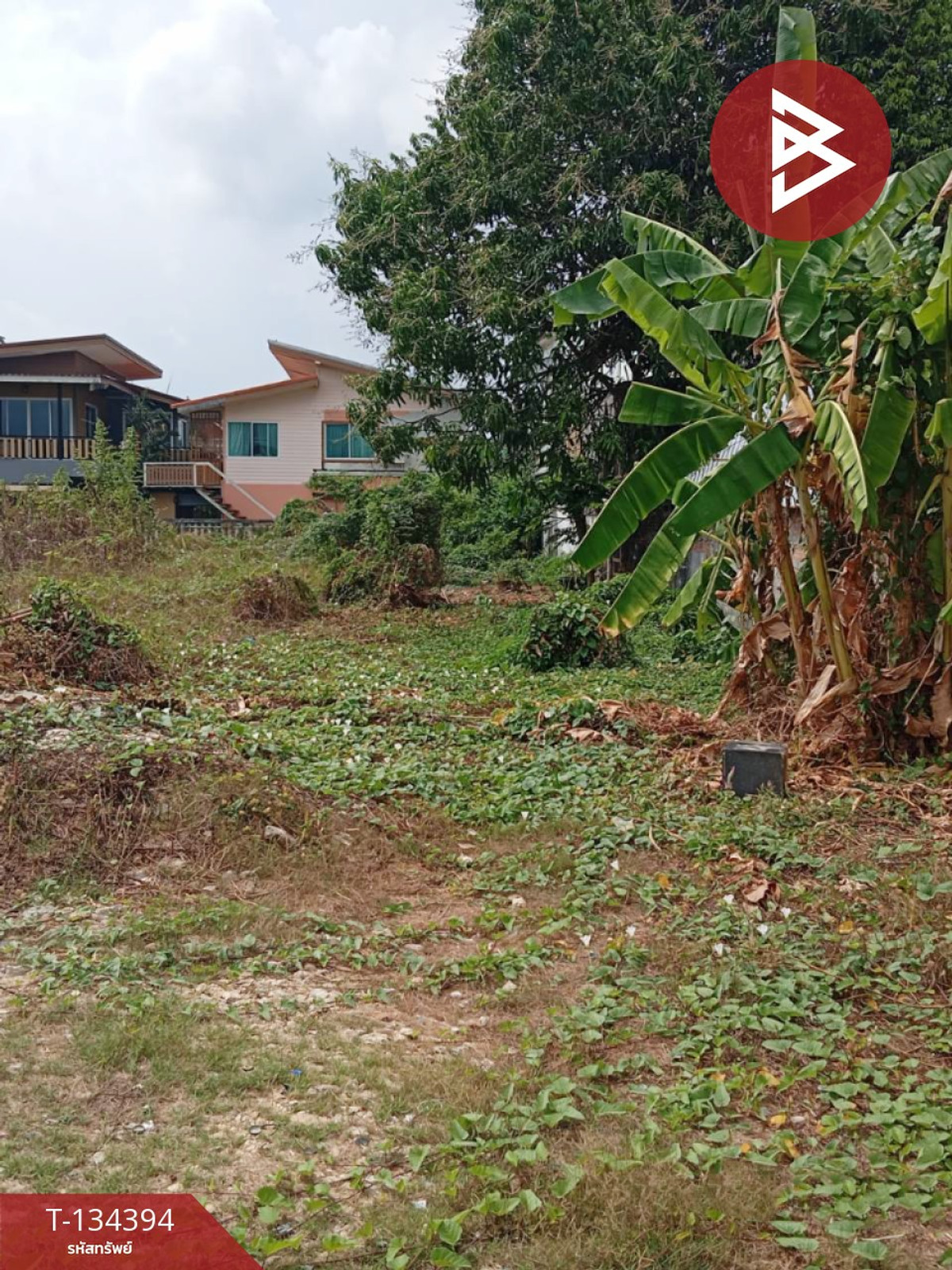 ขายที่ดิน เนื้อที่ 2 งาน 79 ตร.วา ท่าช้าง จันทบุรี