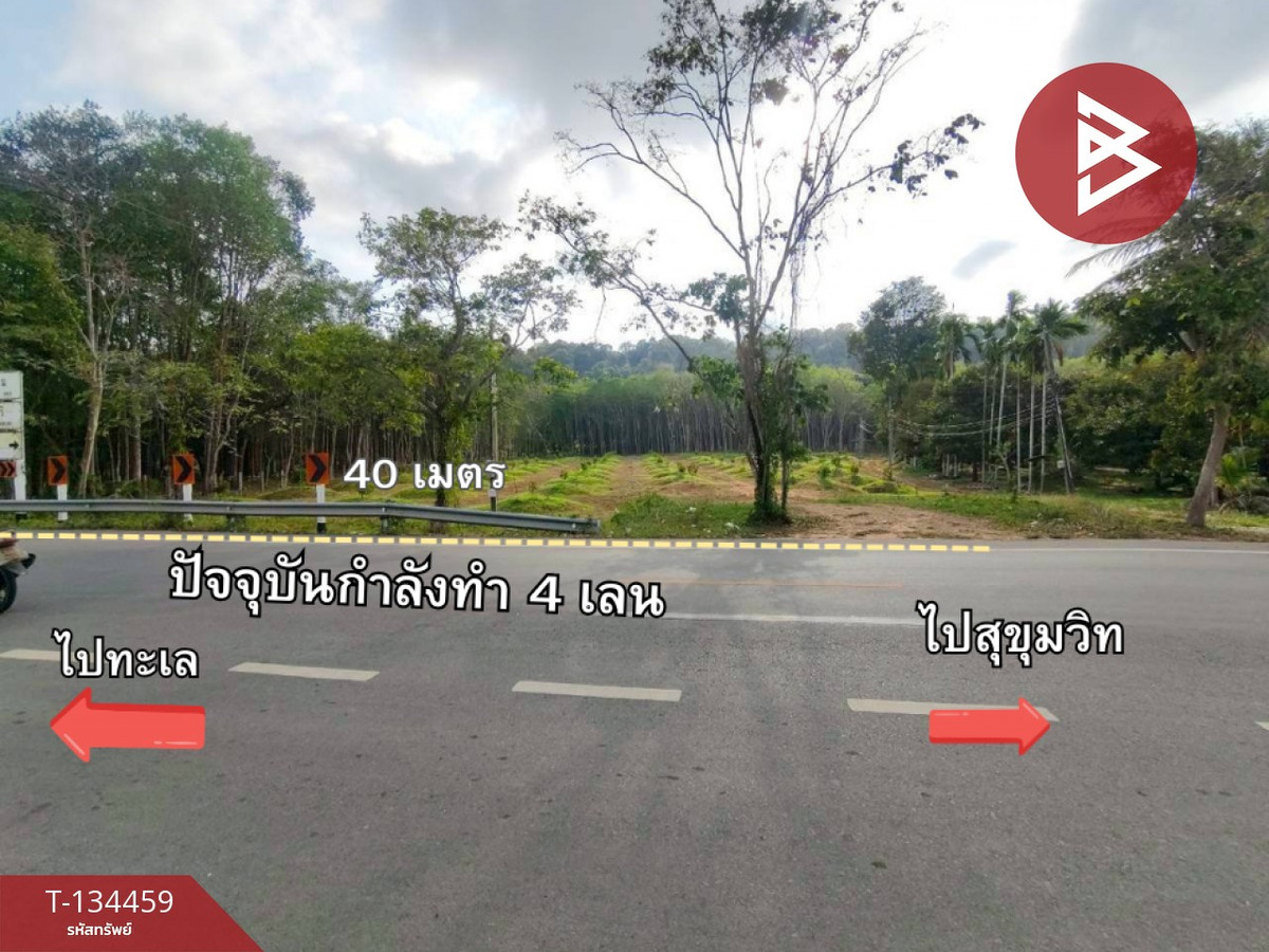 ขายที่ดินพร้อมสวน เนื้อที่ 4 ไร่ 94.2 ตร.วา นายายอาม จันทบุรี