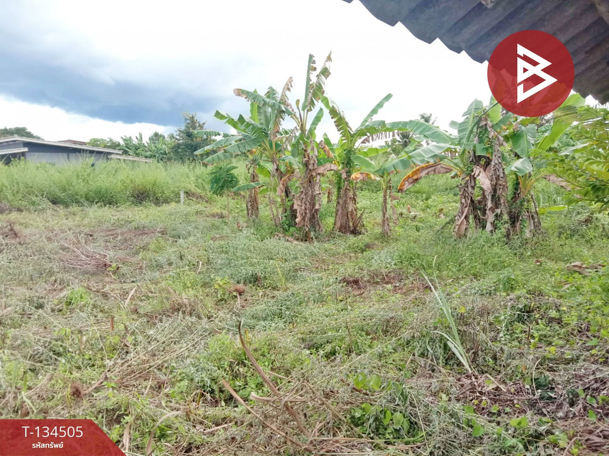 ขายที่ดิน เนื้อที่ 1 ไร่ ท่าม่วง กาญจนบุรี