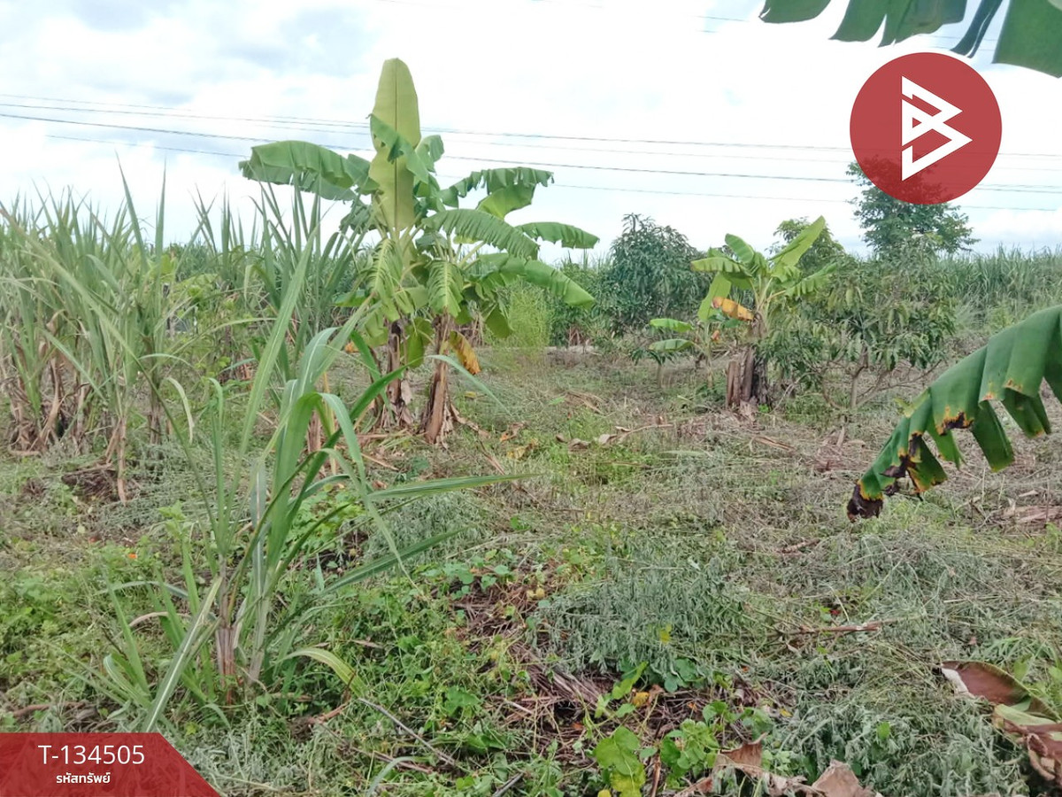 ขายที่ดิน เนื้อที่ 1 ไร่ ท่าม่วง กาญจนบุรี